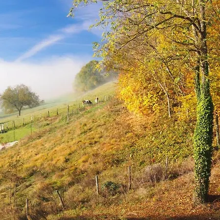 Διαμέρισμα Le Merle Enchanteur